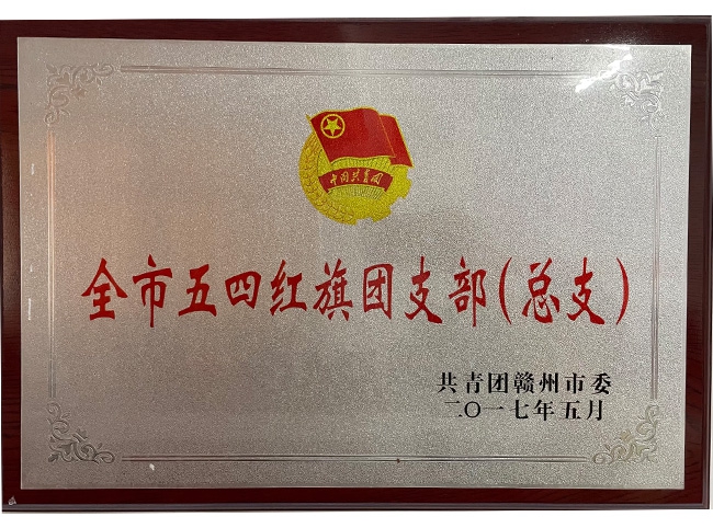 全市五四紅旗團支部